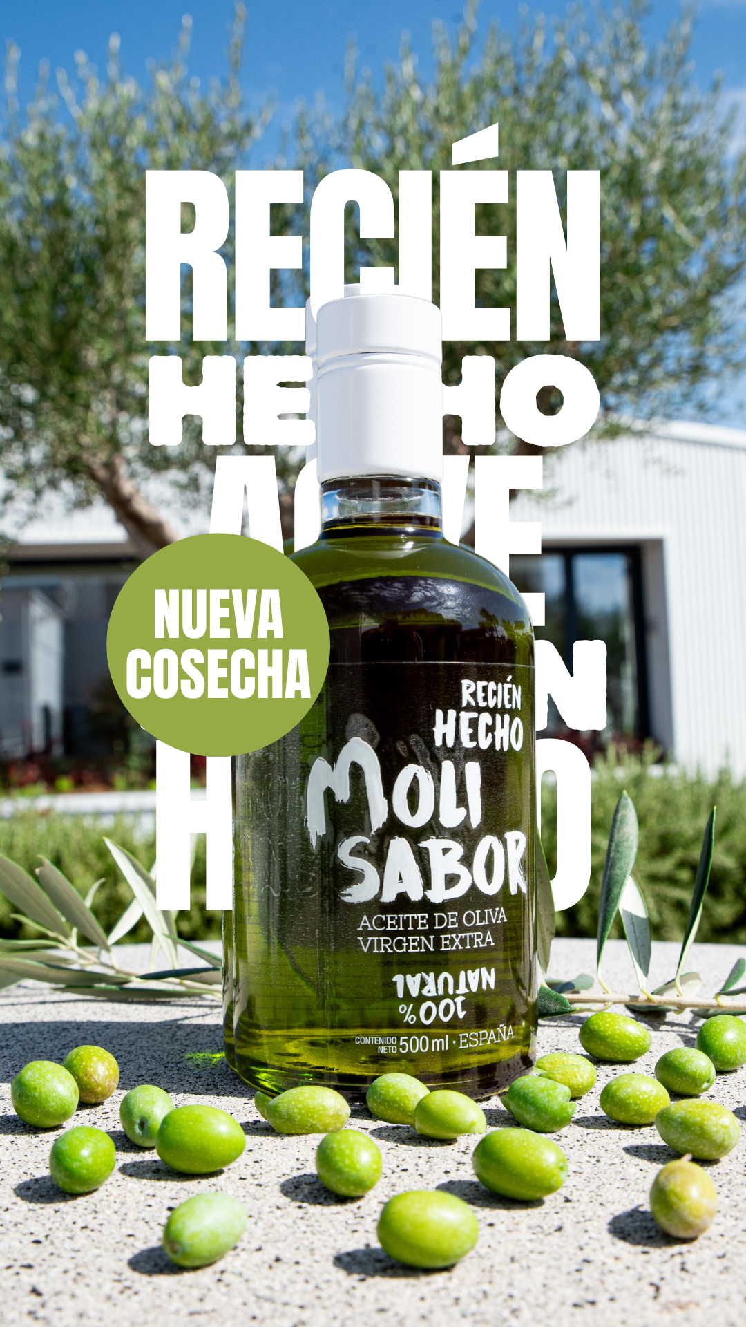 Aceite de Oliva Virgen Extra